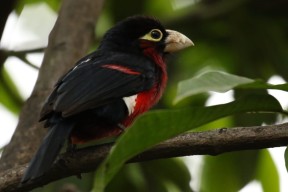 米兰体育APP-足球青训基地加入国际合作项目，提升培训质量，全国足球青训机构排名