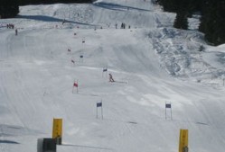-世界高山滑雪锦标赛中国选手创新历史，高山滑雪世界冠军