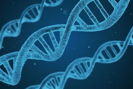 -篮球专项技能教学创新与实践研究及效果评估，篮球教学实施报告 教学能力比赛