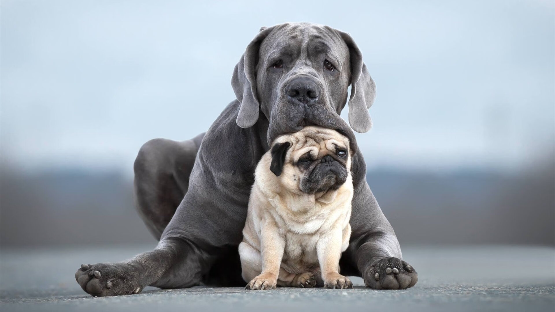 高节奏中如何合理安排非球权球员的移动节奏，高节奏中如何合理安排非球权球员的移动节奏和动作