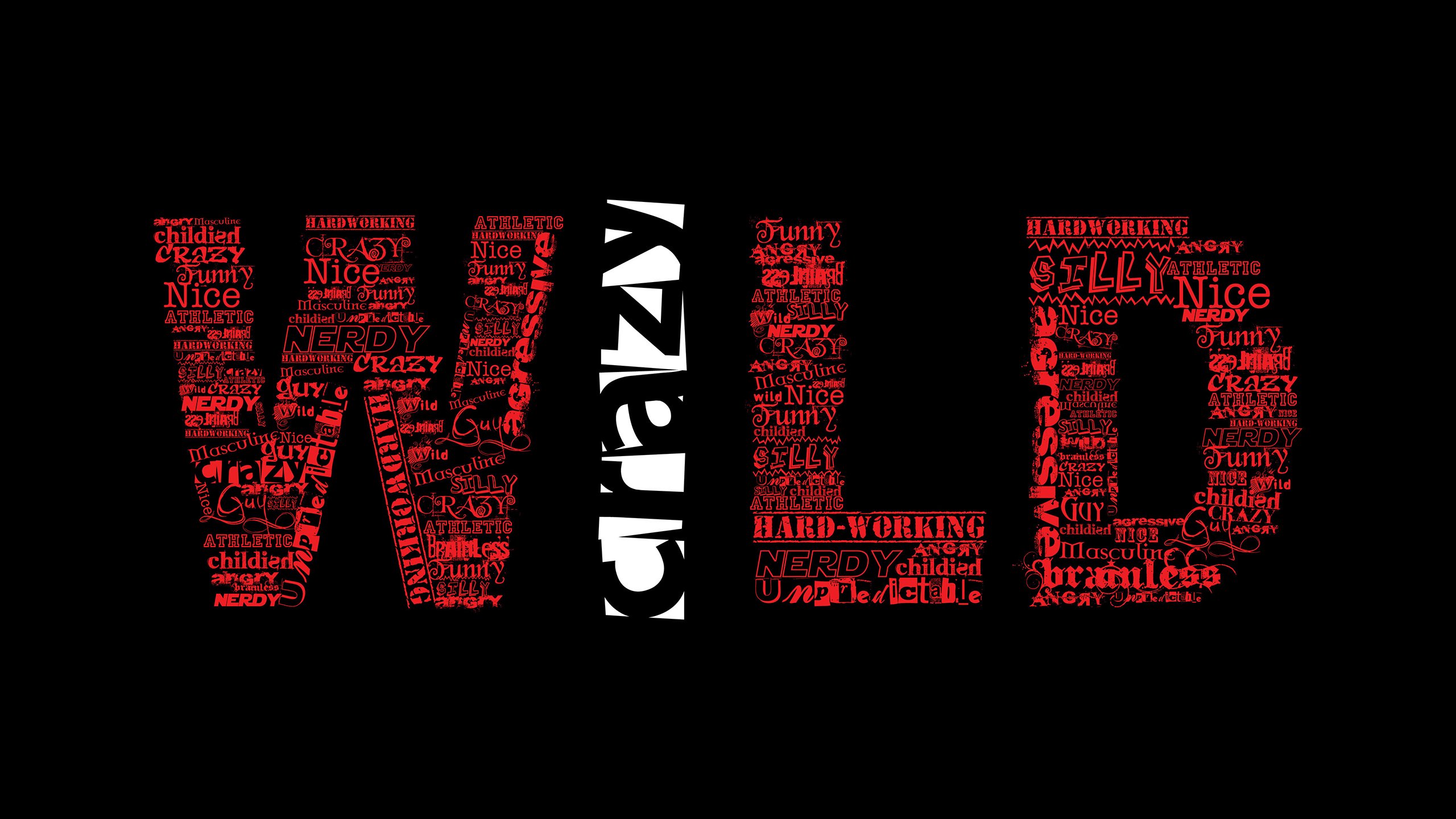 “南非羚羊队的强大阵容：萨尔·巴赫和其他新星的完美搭档”