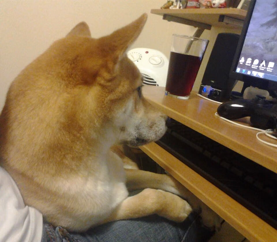 中国篮球加强俱乐部与青训基地资源互补合作,中国篮球青训队大名单