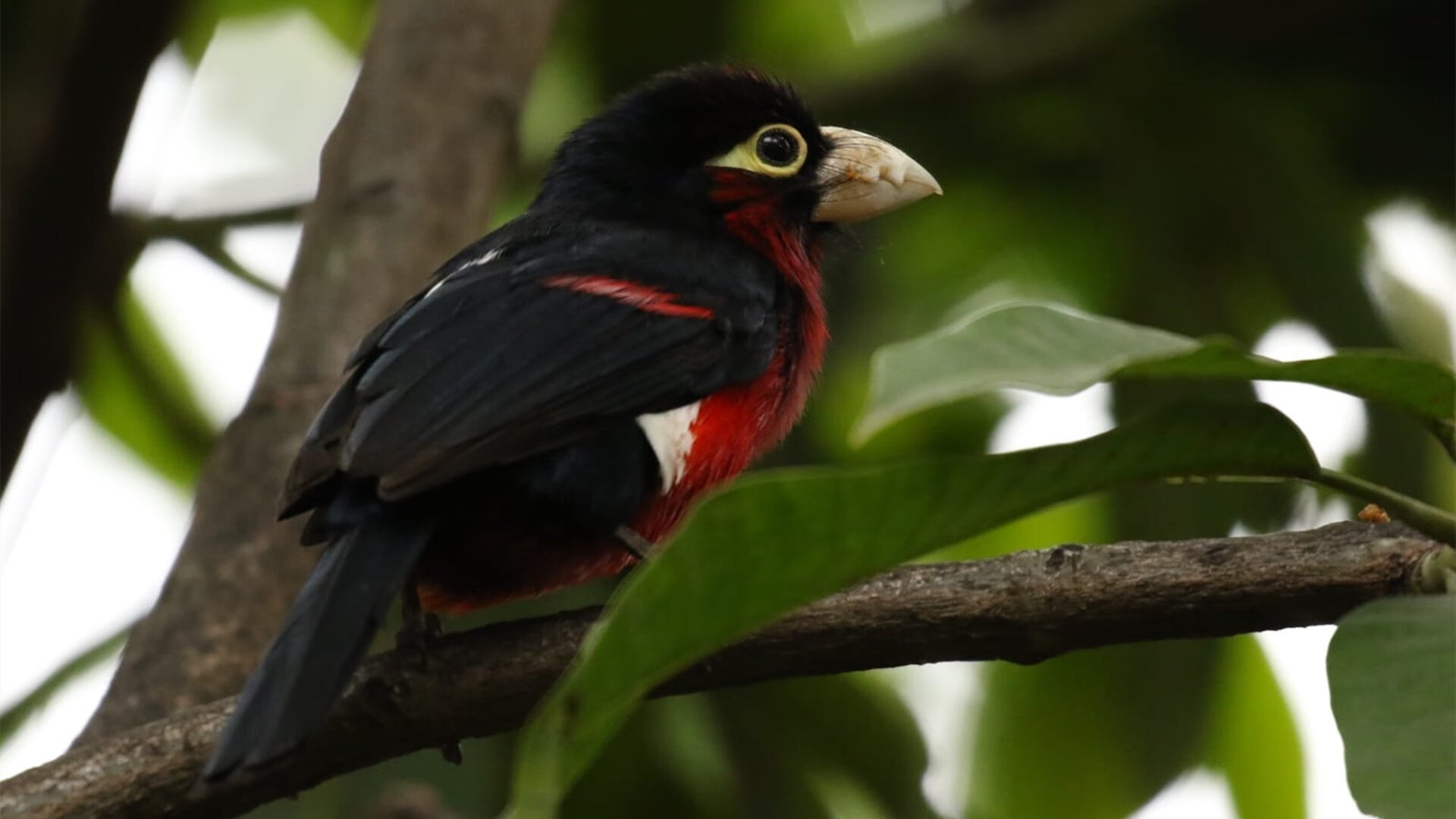 足球青训基地加入国际合作项目,提升培训质量,全国足球青训机构排名