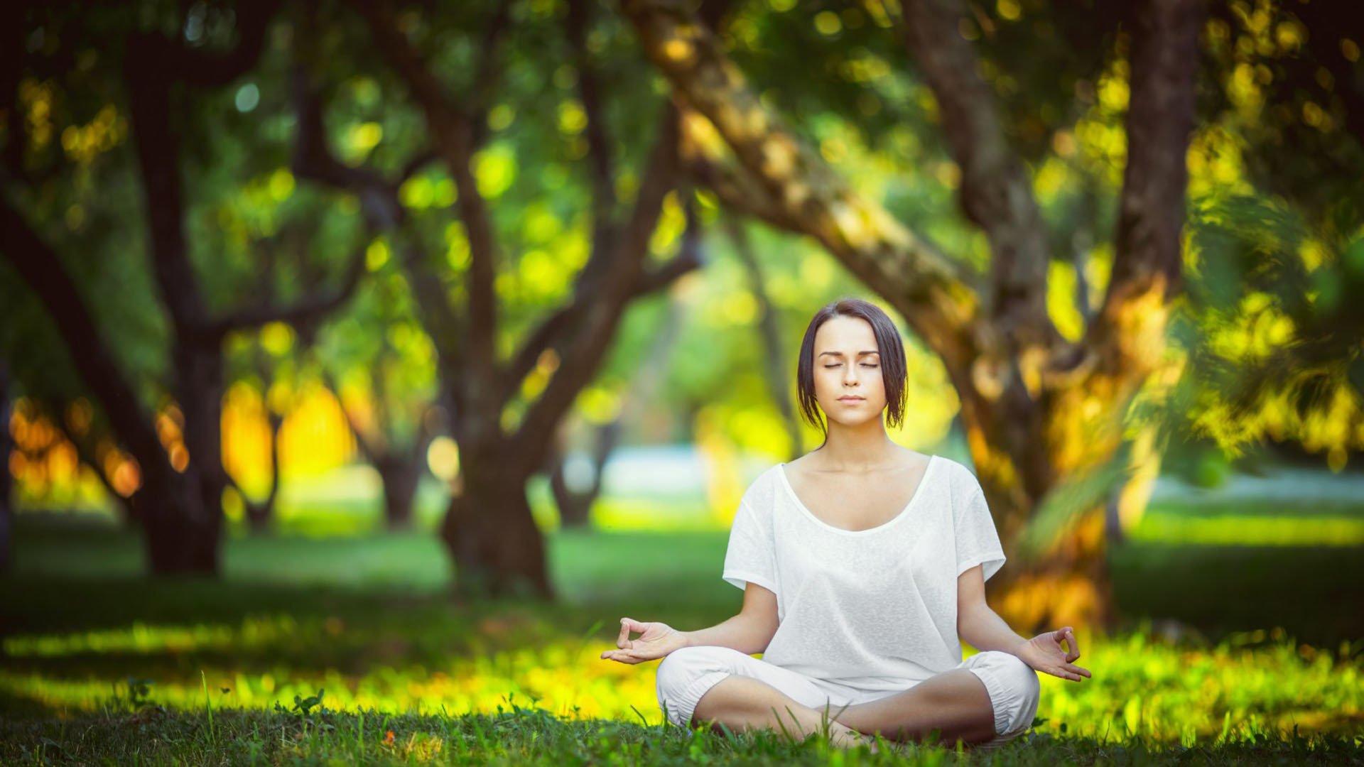 网球青训测评中心与职业俱乐部建立输送机制,网球青训队